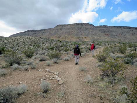 Fire Station Hill Trail