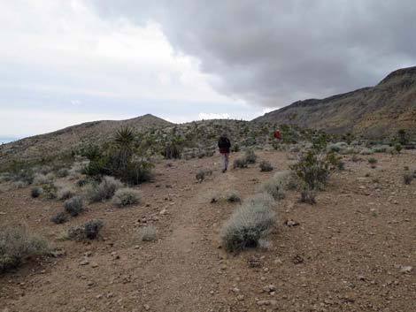 Fire Station Hill Trail