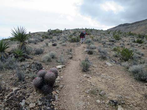 Fire Station Hill Trail