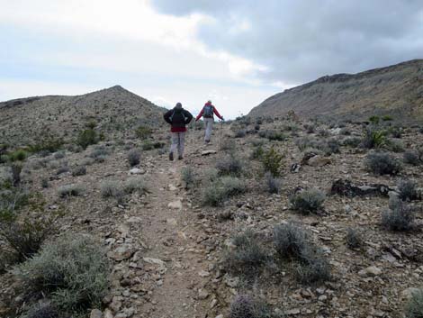 Fire Station Hill Trail