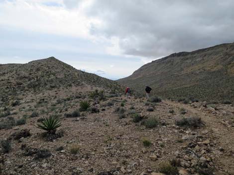 Fire Station Hill Trail