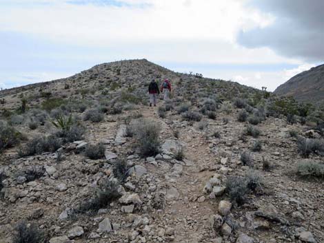 Fire Station Hill Trail