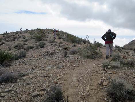 Fire Station Hill Trail