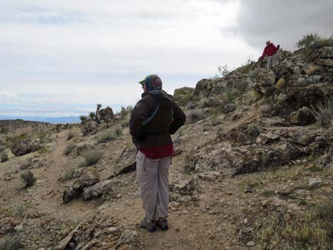 Fire Station Hill Trail