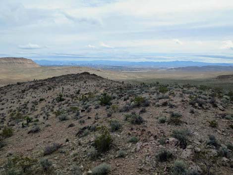 Fire Station Hill Trail