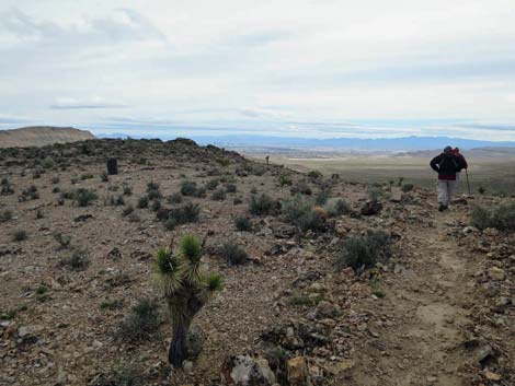 Fire Station Hill Trail