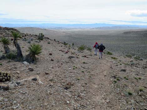 Fire Station Hill Trail