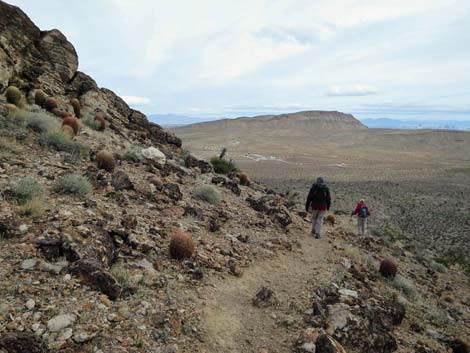 Fire Station Hill Trail