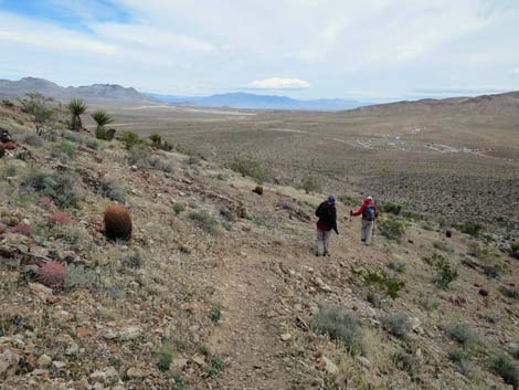 Fire Station Hill Trail