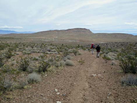 Fire Station Hill Trail