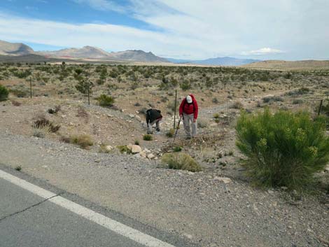 Fire Station Hill Trail