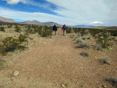 Fire Station Hill Trail