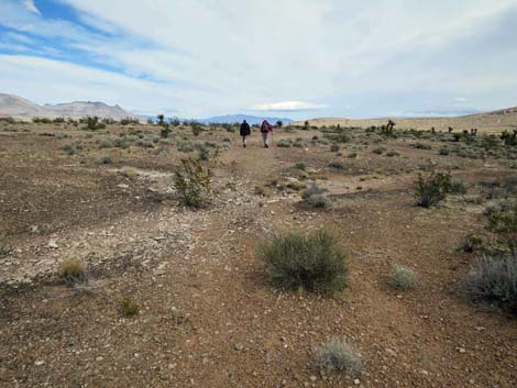 Fire Station Hill Trail