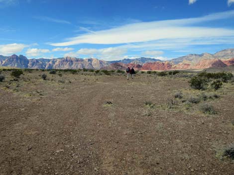 Fire Station Hill Trail