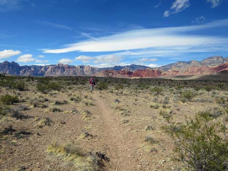 Fire Station Hill Trail