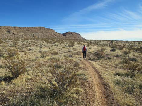 Gun Range Ridge Loop