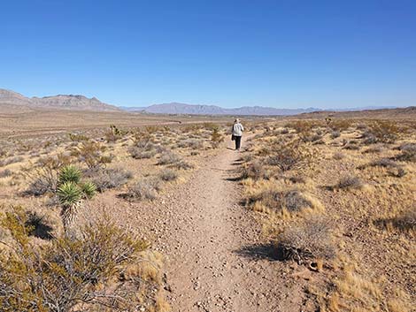 Fire Station Hill Trail