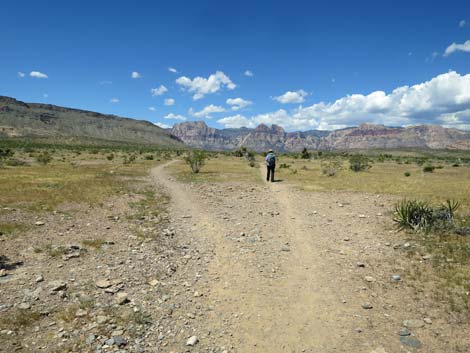 Campground Middle Hill Loop Trail