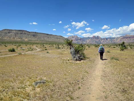 Campground Middle Hill Loop Trail