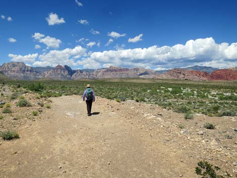 Campground Wash Trail