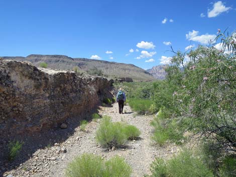 Campground Wash Trail