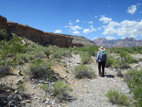 Campground Wash Trail