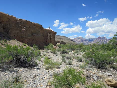 Campground Wash Trail