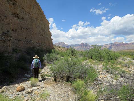 Campground Wash Trail