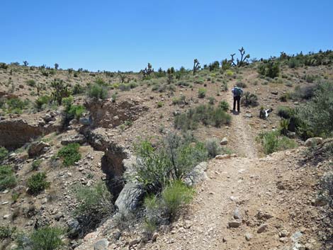 Campground Wash Trail