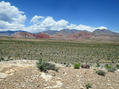 Campground Wash Trail