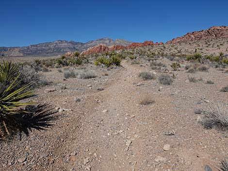 Entrance Station to Calico Basin Trail