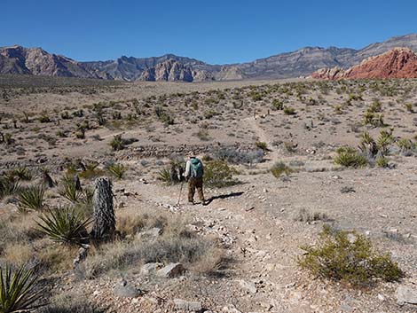 Entrance Station to Calico Basin Trail