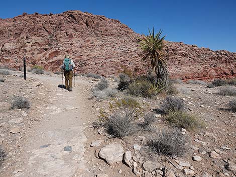 Entrance Station to Calico Basin Trail