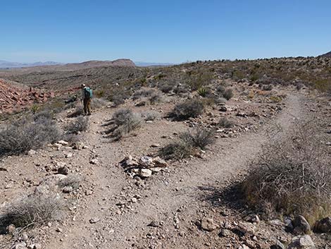 Entrance Station to Calico Basin Trail