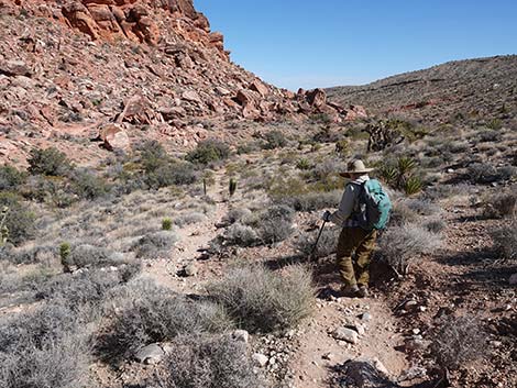 Entrance Station to Calico Basin Trail