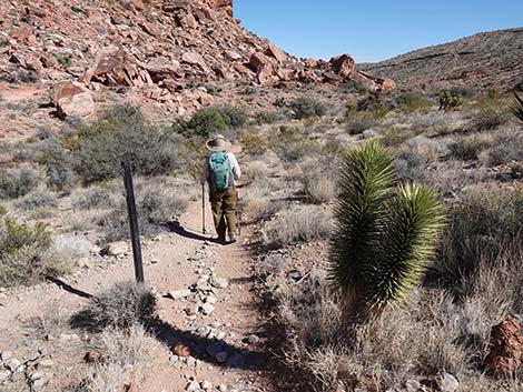 Entrance Station to Calico Basin Trail