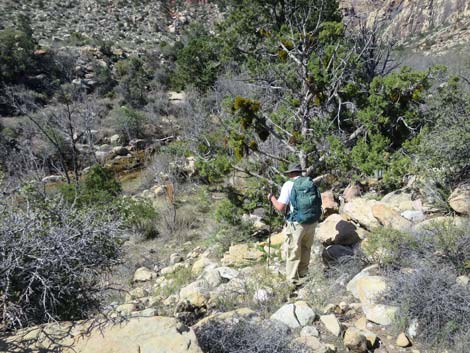 Escarpment Trail