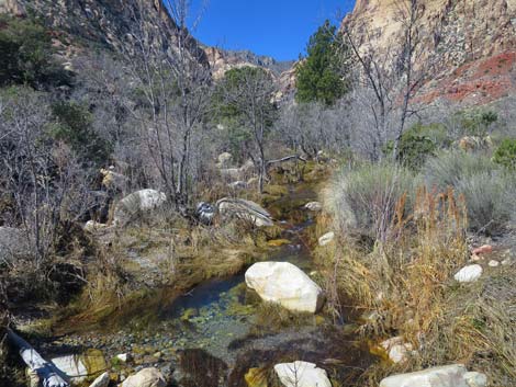 Escarpment Trail