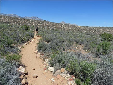 Fire Ecology Trail