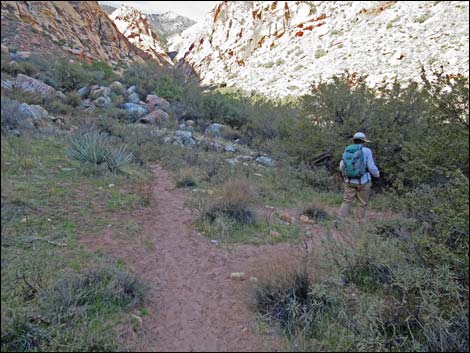 First Creek Canyon