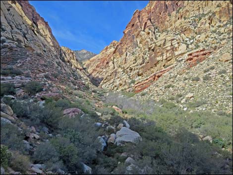 First Creek Canyon