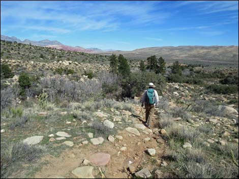 First Creek Canyon