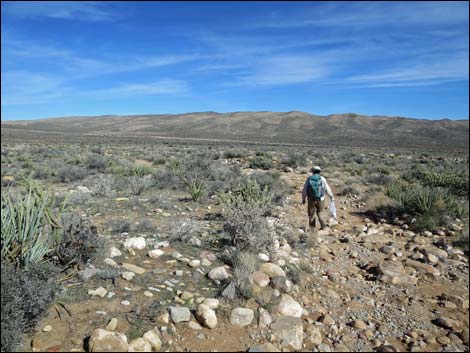 First Creek Canyon