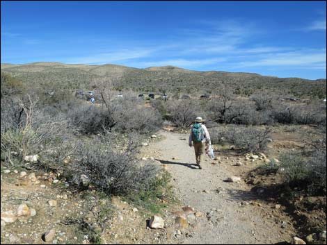 First Creek Canyon