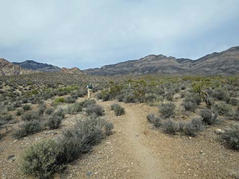 Grand Circle Trail