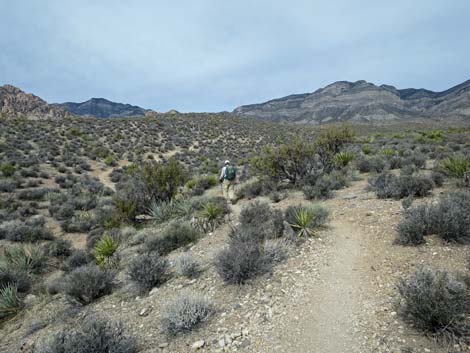 Grand Circle Trail