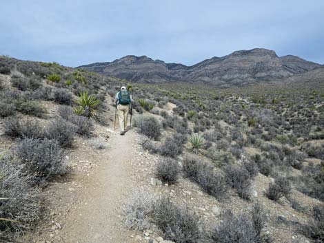 Grand Circle Trail