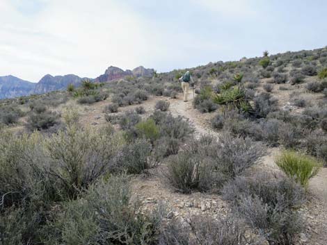 Grand Circle Trail