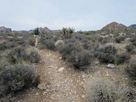 Grand Circle Trail