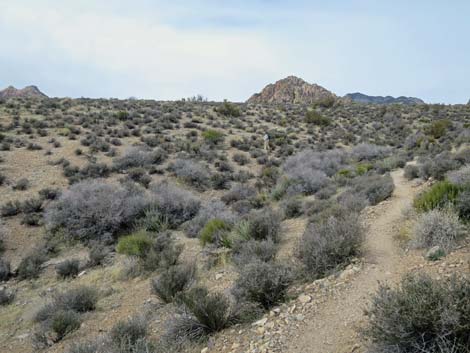 Grand Circle Trail